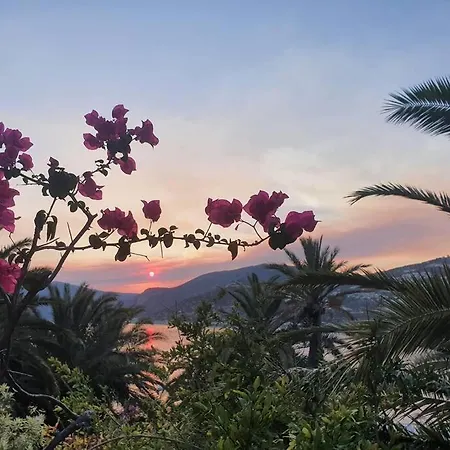 Apartment Cactus Garden - Club Patara *